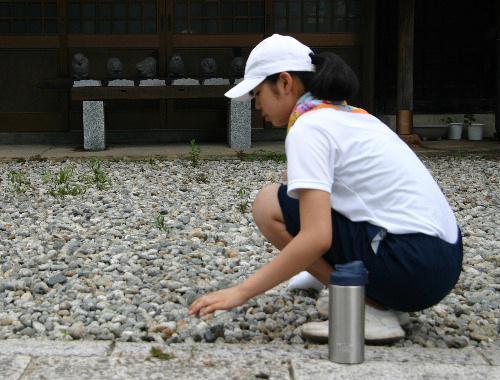 赤湯小中学校の児童生徒が記念館の庭の除草
