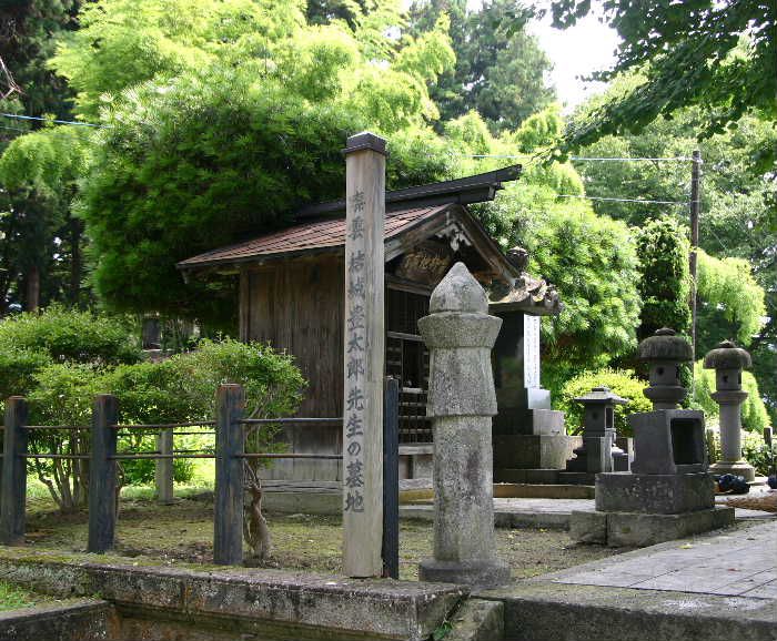 大きなイチョウの木の下に結城豊太郎先生の墓地