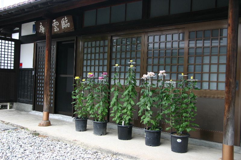 菊薫る臨雲文庫