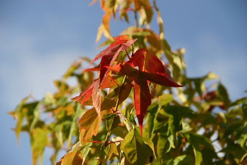 つかの間の小春日和