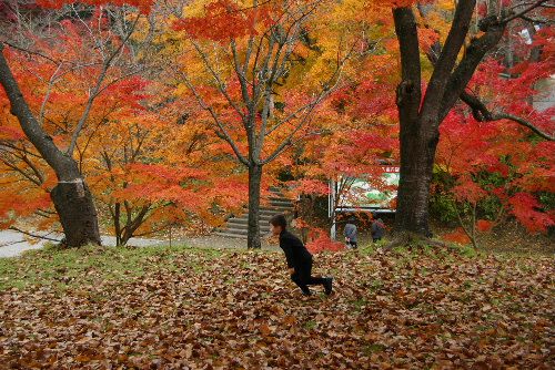 落ち葉と一緒に子どもも舞う？
