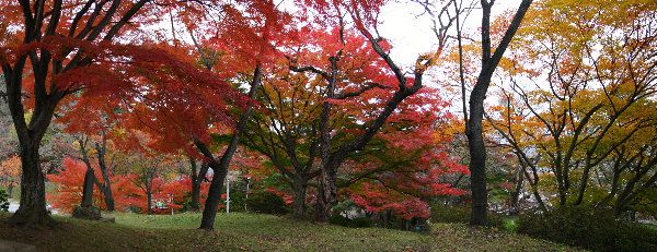隠れた紅葉の名所？