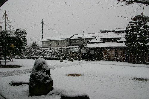 大粒の雪がボタボタ