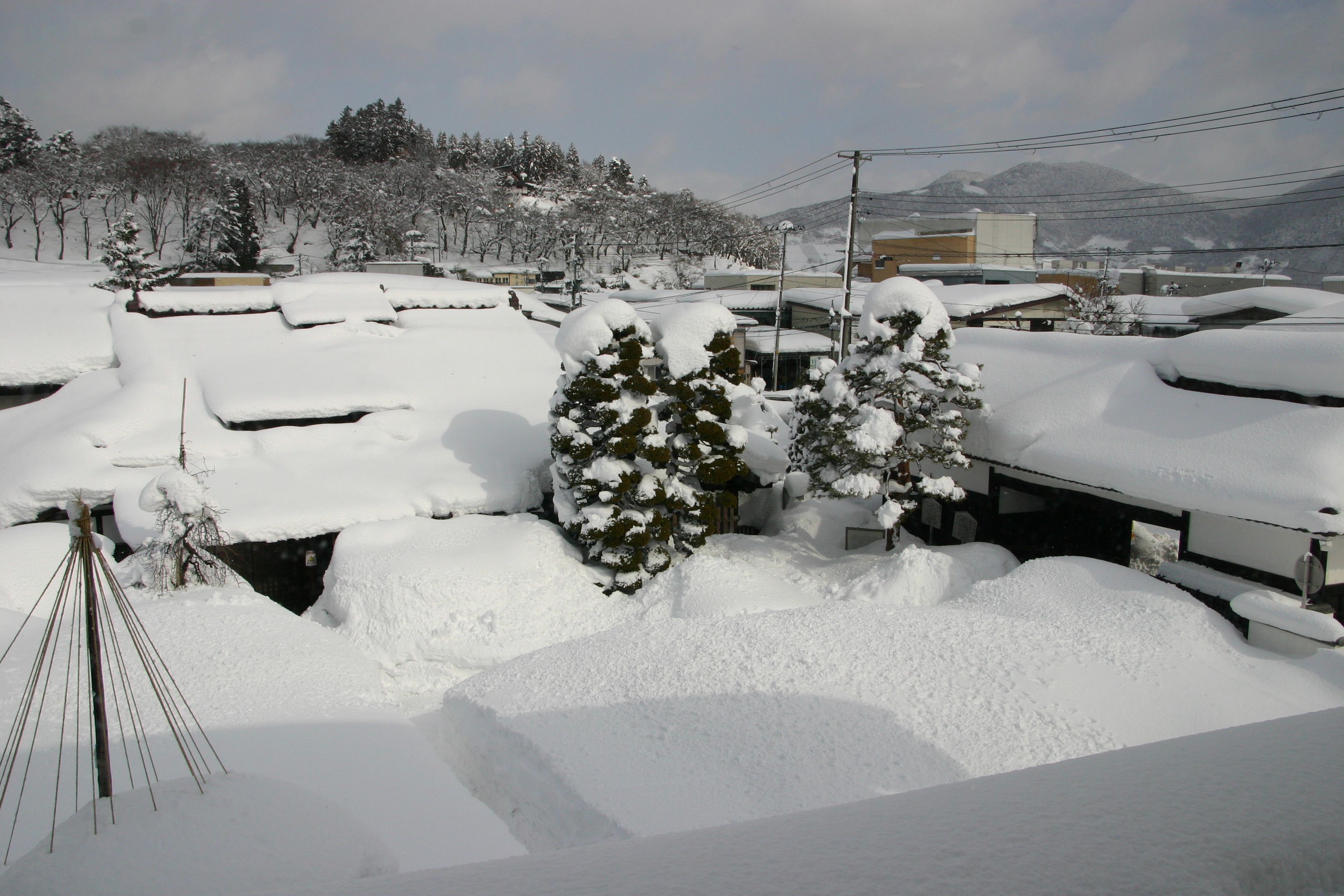 久しぶりのお日様がサンサンと