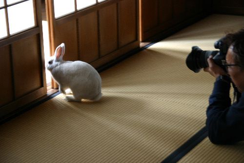 モッチーくん　ハイポーズ