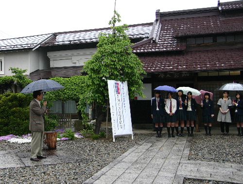 結城豊太郎記念館春まつり
