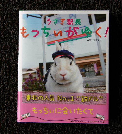 うさぎ駅長「もっちいがゆく！」が発行されました
