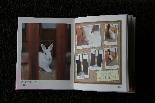 写真集の一部をどうぞ