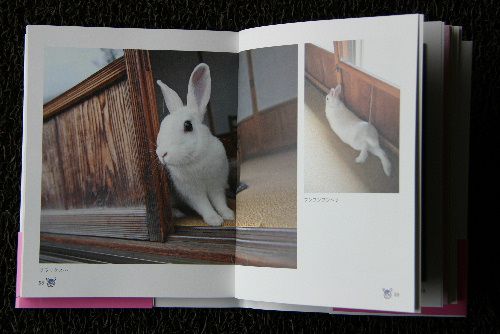 かわいい「もっちいくん」