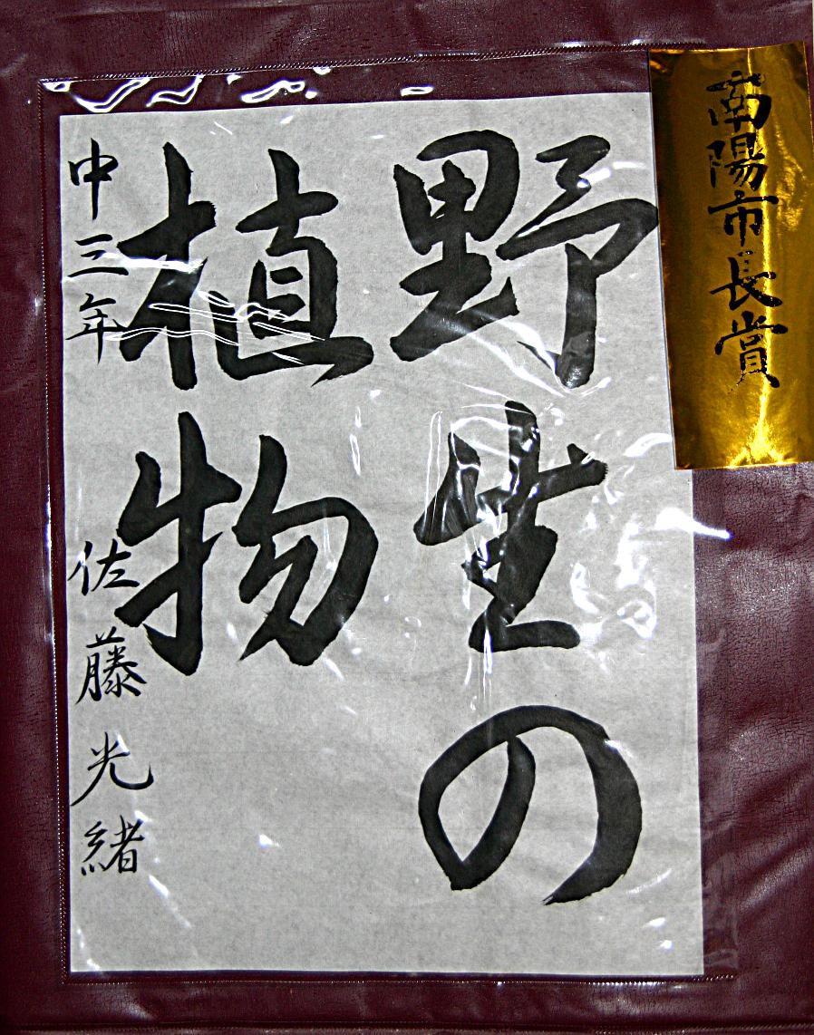 見事な作品「南陽市長賞」受賞