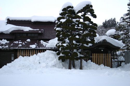 本格的な雪