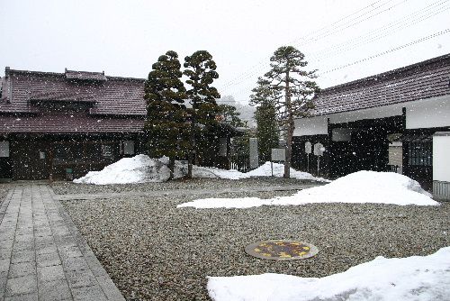 春なのに　今日も雪が降っています