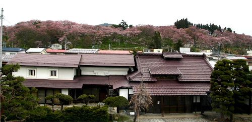 烏帽子山がピンクに染まってきました