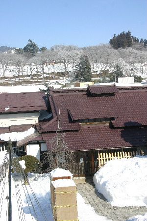 真っ白な霧氷の花が咲いてます