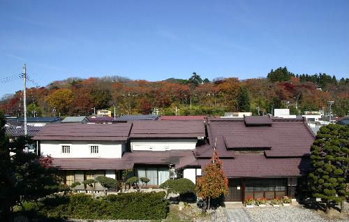 初冬　見事な青空　今年最後の紅葉か