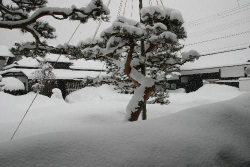 冬に逆戻りか