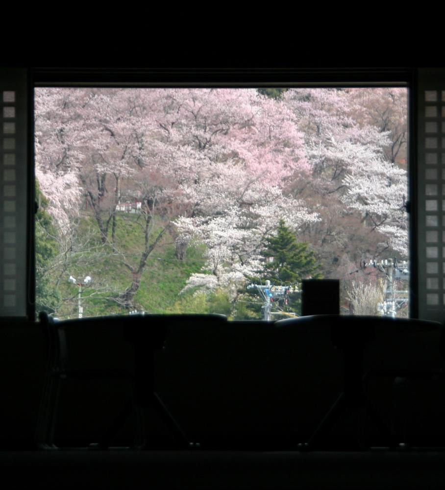 結城豊太郎記念館階段踊り場２段目からの絶景