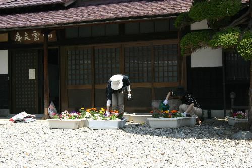 花植え作業　プランター２０鉢　きれいに咲いてほしい～