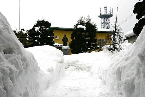 大雪で雪害も