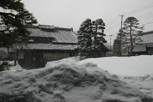 冬に逆戻り　外は吹雪で～す。