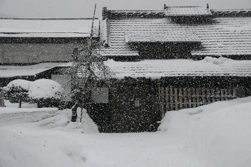 今日も降り続く雪　冬に逆戻り　４年前のあの日も寒い日でした