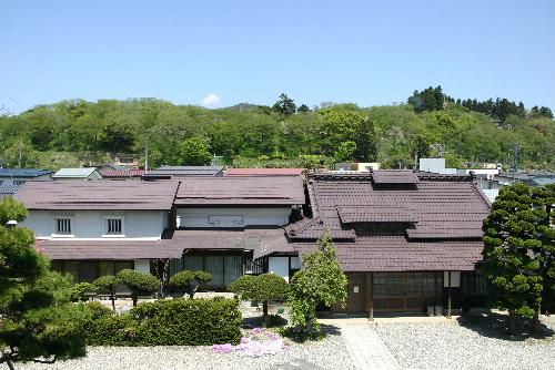 ハナミズキも開花　烏帽子山公園はすっかり緑に