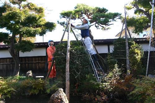 いよいよ本格的な冬がまもなく到来か　雪囲い終わる