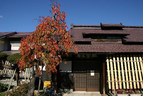 真っ青な空、紅く色づいた桜の葉　冬はそこまで