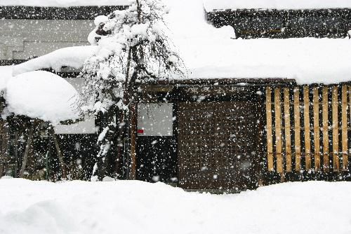 赤湯にも本格的な雪　寒さに負けず幼稚園児がお茶をたしなむ