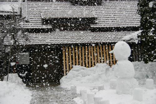 今日は一転おっきな雪　５センチぐらいはあるかも