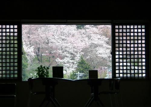 記念館２階は烏帽子山公園の桜の絶景ポイント　窓からまさに借景のごとし