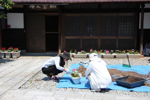 花いっぱい運動に参加　職員総出で花の植栽