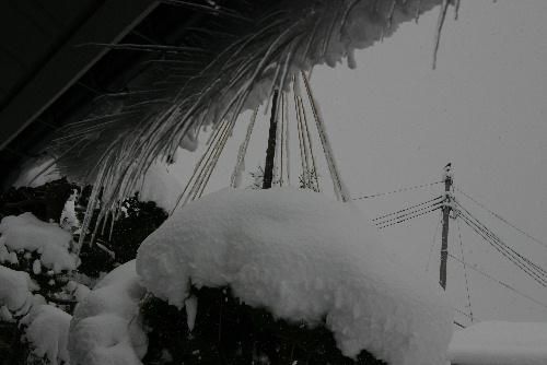 ついに冬到来　でも例年に比べると雪は少ないかな～