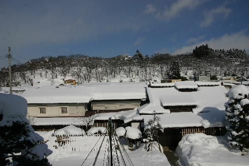 春を待つ準備 青い空そして啓翁桜が満開