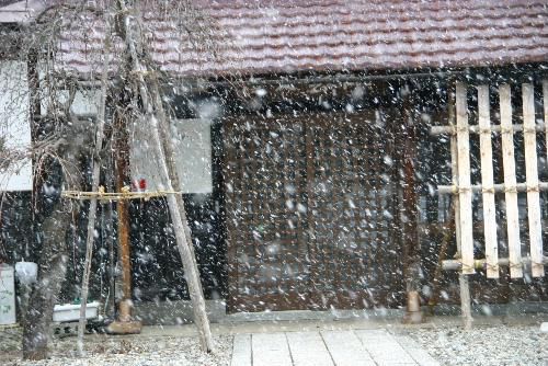 久しぶりのブログです　春がそこまでやってきましたが今日は雪が降ったりやんだり