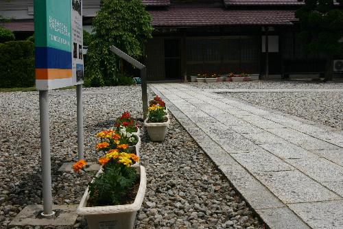 今年も赤湯公民館の花いっぱい運動に参加