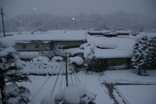 一日中の雪で、すっぽりと雪に覆われました