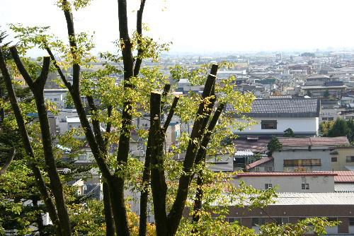 オレンジ色のトーチリリーの花のてっぺんに赤とんぼ　烏帽子山公園の秋