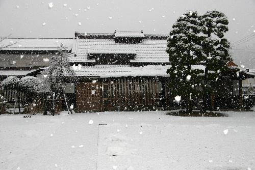 大きな雪がモロモロと降ってきた　明日は雪かきかあ～