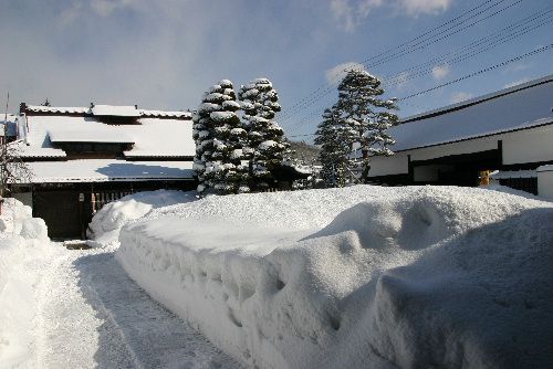 ちょっとだけ冬に逆戻り