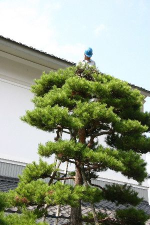 高~く感じる青い空