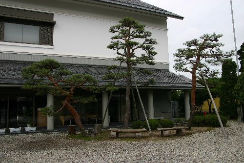 すっかり装いも新たに