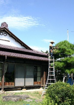 秋の雲か