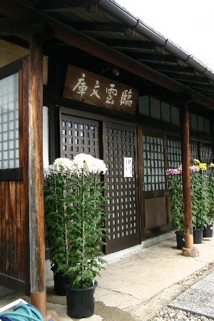 秋を彩る菊花