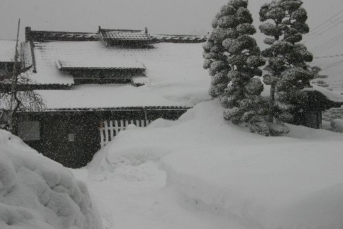 3月 春のあらしか 冬の最後のあがきか?