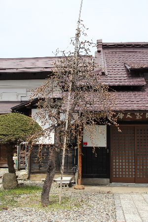 冬のような寒さ