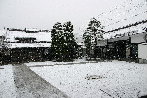 信じられな~い 雪が積もっている
