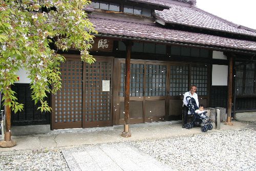 孫と桜ふぶき