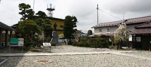 生誕百年祭記念の桜 残った3本