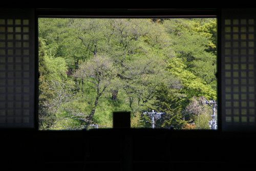 鮮やかな新緑が映える